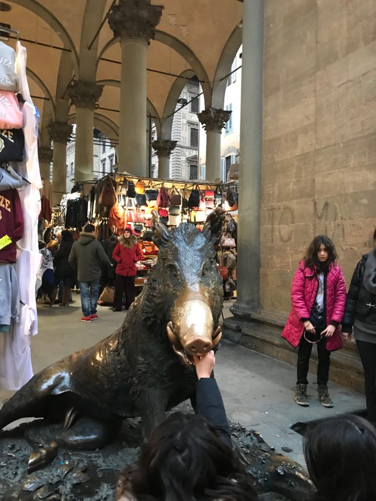 fontana del porcellino, firenze, francesca mercantini